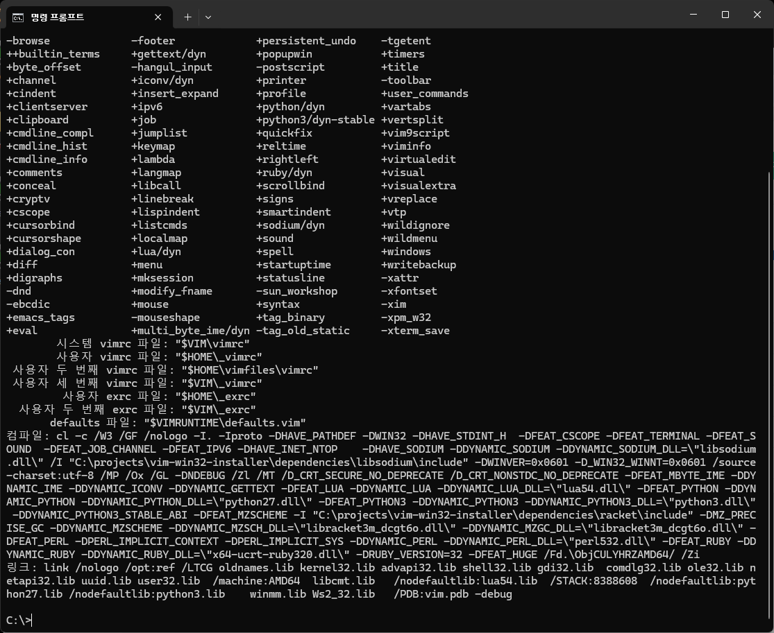 명령 프롬프트 vim 정보 확인