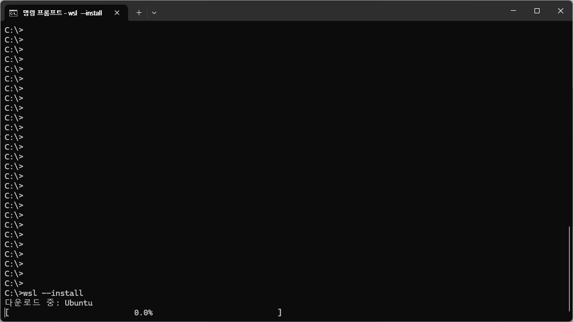 Ubuntu 설치 중 화면