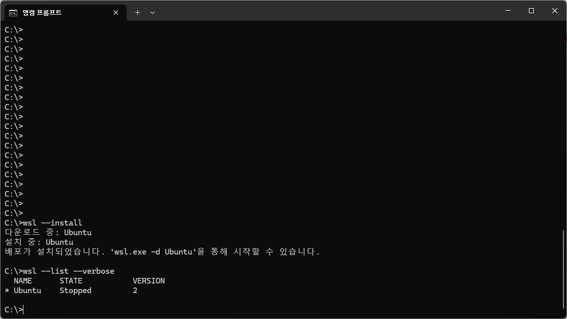 WSL 버전 확인 화면