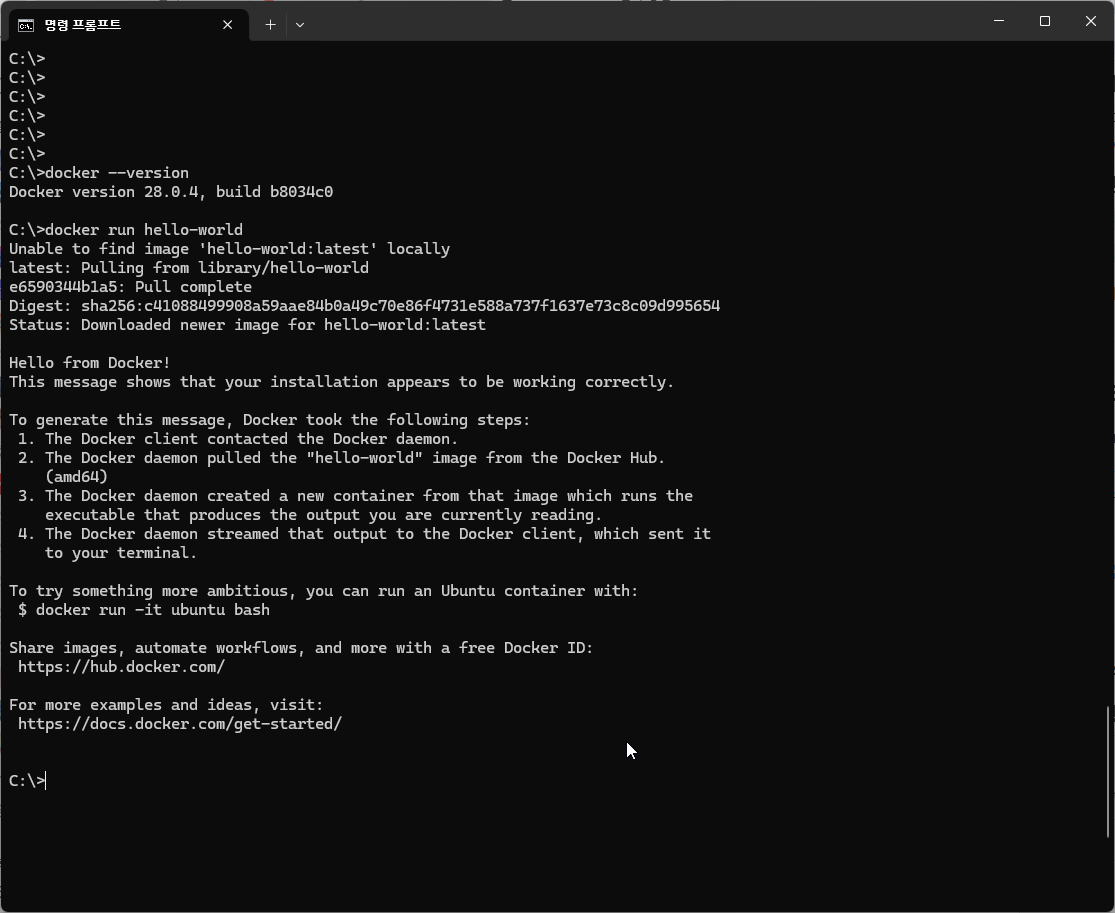 docker hello-world 실행 결과